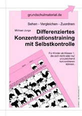 01 Konzentration Einführung.pdf